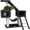 TRIXIE Malaga 43" Plush Cat Tree & Condo -Cat Supplies 221650 main. AC SS1800 V1582055279