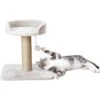 TRIXIE Mica Platform Cat Scratching Post -Cat Supplies 221668 main. AC SS1800 V1582064653