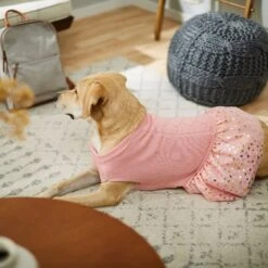 Frisco Cable Knit Dog & Cat Sweater Dress -Cat Supplies 223706 PT7. AC SS1800 V1599921696