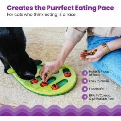 Nina Ottosson By Outward Hound Buggin' Out Puzzle & Play Cat Toy 14 Nina Ottosson By Outward Hound Buggin' Out Puzzle & Play Cat Toy -Cat Supplies 227098 PT3. AC SS1800 V1636511821