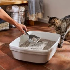 Frisco Lightweight Scented Clumping Cat Litter -Cat Supplies 230718 PT4. AC SS1800 V1659023572