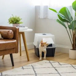 IRIS USA Enclosed With Front Door Flap & Scoop Cat Litter Box 16 IRIS USA Enclosed With Front Door Flap & Scoop Cat Litter Box -Cat Supplies 231660 PT5. AC SS1800 V1680811968