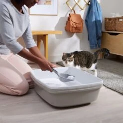 Frisco Micro Crystal Unscented Clumping Crystal Cat Litter 13 Frisco Micro Crystal Unscented Clumping Crystal Cat Litter -Cat Supplies 232119 PT4. AC SS1800 V1660944685