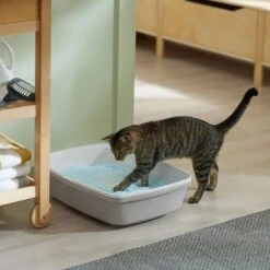 Frisco Micro Crystal Unscented Non-Clumping Crystal Cat Litter -Cat Supplies 232121 PT4. AC SS1800 V1659546416