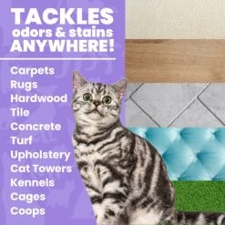 Unique Pet Care Sweet Tangerine Cat Odor + Stain Remover, 24-oz Bottle -Cat Supplies 232913 PT2. AC SS1800 V1700689208