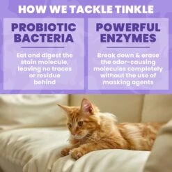 Unique Pet Care Sweet Tangerine Cat Odor + Stain Remover, 24-oz Bottle -Cat Supplies 232913 PT4. AC SS1800 V1700689728