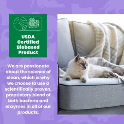 Unique Pet Care Sweet Tangerine Cat Odor + Stain Remover, 24-oz Bottle -Cat Supplies 232913 PT6. AC SS1800 V1700689359