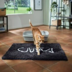 Frisco Microfiber Chenille Fish Bone Litter Mat 11 Frisco Microfiber Chenille Fish Bone Litter Mat -Cat Supplies 236242 PT3. AC SS1800 V1676556249