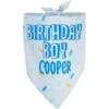 Frisco Birthday Boy Personalized Dog & Cat Bandana 2 Frisco Birthday Boy Personalized Dog & Cat Bandana -Cat Supplies 238329 MAIN. AC SS1800 V1597896415