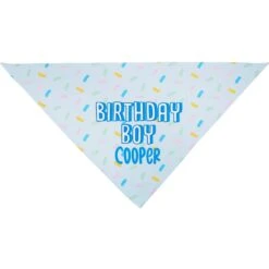 Frisco Birthday Boy Personalized Dog & Cat Bandana -Cat Supplies 238329 PT3. AC SS1800 V1618511828