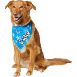 Frisco Blue Snowflakes Personalized Dog & Cat Bandana -Cat Supplies 242803 PT6. AC SS1800 V1618511278