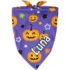 Frisco Halloween Pumpkins Personalized Dog & Cat Bandana -Cat Supplies 242815 MAIN. AC SS1800 V1701983007