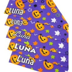 Frisco Halloween Pumpkins Personalized Dog & Cat Bandana -Cat Supplies 242815 PT4. AC SS1800 V1618511516