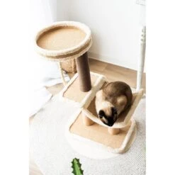 Catry Cradle Cat Tree With Paper Rope Scratching Posts & Sisal Rope Toy -Cat Supplies 244313 PT3. AC SS1800 V1595017054