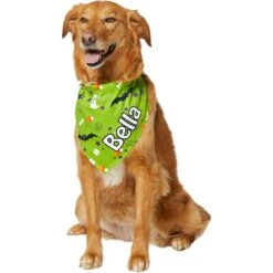 Frisco Halloween Boo! Personalized Dog & Cat Bandana 16 Frisco Halloween Boo! Personalized Dog & Cat Bandana -Cat Supplies 244583 PT6. AC SS1800 V1618510307
