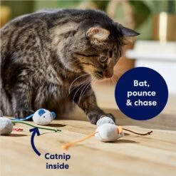 Frisco Mice Plush Cat Toy With Catnip -Cat Supplies 245899 PT2. AC SS1800 V1678723852