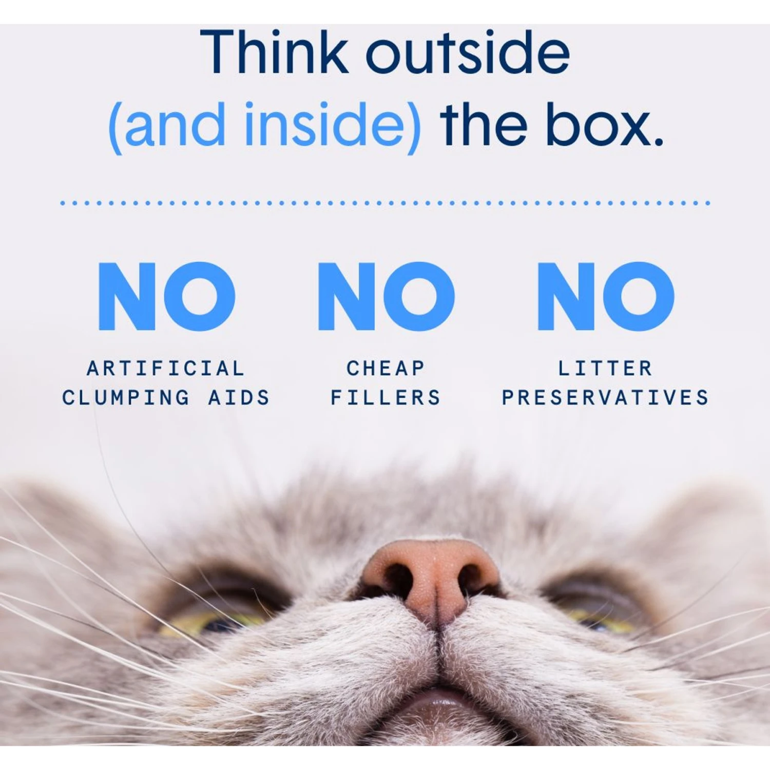 Boxiecat Air Lightweight Unscented Premium Clumping Cat Litter 7 Boxiecat Air Lightweight Unscented Premium Clumping Cat Litter - Image 5