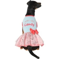 Frisco Sweet Like Candy Dog & Cat Dress -Cat Supplies 248666 PT2. AC SS1800 V1632421633