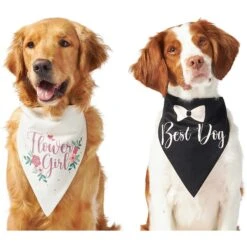 Frisco Wedding Reversible Dog & Cat Bandana -Cat Supplies 248712 PT2. AC SS1800 V1632429387