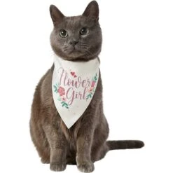 Frisco Wedding Reversible Dog & Cat Bandana -Cat Supplies 248712 PT3. AC SS1800 V1632431176
