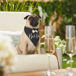 Frisco Wedding Reversible Dog & Cat Bandana -Cat Supplies 248712 PT5. AC SS1800 V1632432987