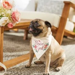 Frisco Wedding Reversible Dog & Cat Bandana -Cat Supplies 248712 PT6. AC SS1800 V1632430655