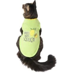 Frisco Mama's Main Squeeze Dog & Cat T-Shirt -Cat Supplies 248853 PT2. AC SS1800 V1614181071