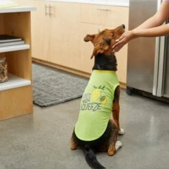 Frisco Mama's Main Squeeze Dog & Cat T-Shirt -Cat Supplies 248853 PT7. AC SS1800 V1613683647