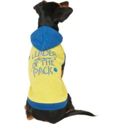 Frisco Leader Of The Pack Dog & Cat Hoodie 11 Frisco Leader Of The Pack Dog & Cat Hoodie -Cat Supplies 248905 PT2. AC SS1800 V1637686650