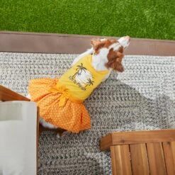 Frisco Fun In The Sun Dog & Cat Dress -Cat Supplies 249058 PT7. AC SS1800 V1614094230