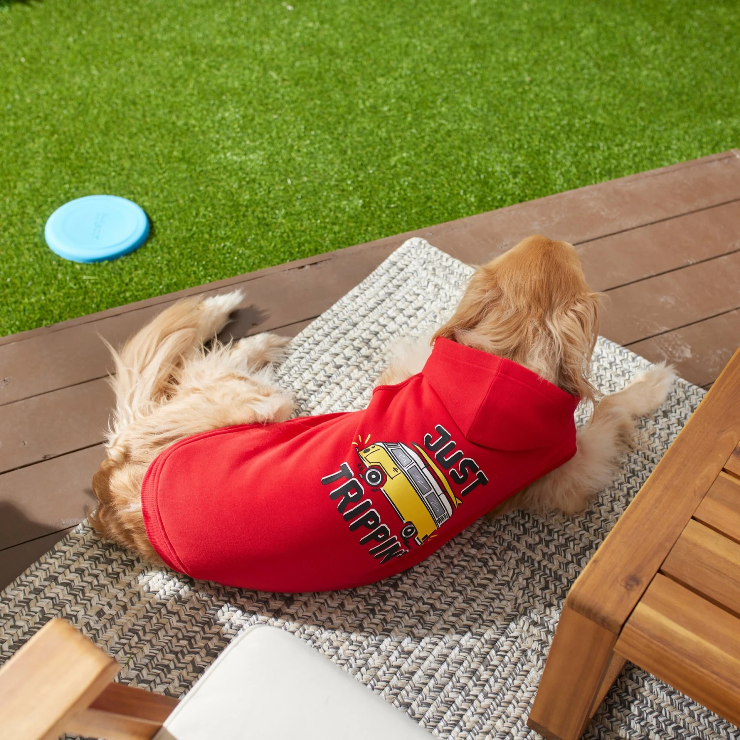 Frisco Just Trippin' Dog & Cat Hoodie 9 Frisco Just Trippin' Dog & Cat Hoodie - Image 7