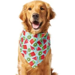 Frisco Fruity Summer Dog & Cat Bandana -Cat Supplies 249204 PT2. AC SS1800 V1637644629