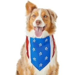 Frisco Stars & Stripes Dog & Cat Bandana -Cat Supplies 249329 PT2. AC SS1800 V1632418569