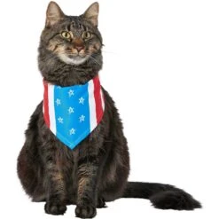 Frisco Stars & Stripes Dog & Cat Bandana -Cat Supplies 249329 PT3. AC SS1800 V1632422490