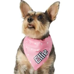 Frisco Polka Dot Personalized Dog & Cat Bandana -Cat Supplies 254223 PT6. AC SS1800 V1696432728