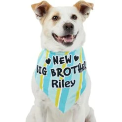 Frisco Big Brother Personalized Dog & Cat Bandana -Cat Supplies 254231 PT6. AC SS1800 V1633071398