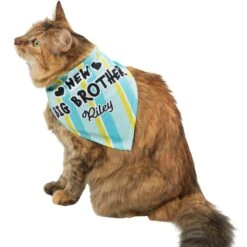 Frisco Big Brother Personalized Dog & Cat Bandana -Cat Supplies 254231 PT7. AC SS1800 V1633067486