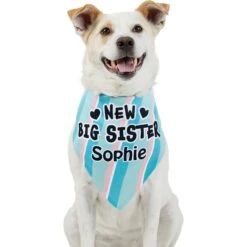 Frisco Big Sister Personalized Dog & Cat Bandana 17 Frisco Big Sister Personalized Dog & Cat Bandana -Cat Supplies 254235 PT6. AC SS1800 V1619558258