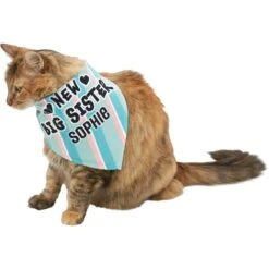 Frisco Big Sister Personalized Dog & Cat Bandana 18 Frisco Big Sister Personalized Dog & Cat Bandana -Cat Supplies 254235 PT7. AC SS1800 V1619560404