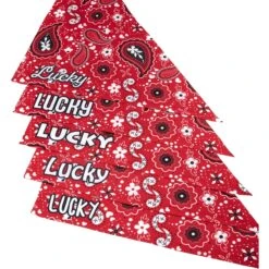 Frisco Paisley Printed Personalized Dog & Cat Bandana 15 Frisco Paisley Printed Personalized Dog & Cat Bandana -Cat Supplies 254247 PT4. AC SS1800 V1618511570