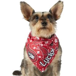 Frisco Paisley Printed Personalized Dog & Cat Bandana 17 Frisco Paisley Printed Personalized Dog & Cat Bandana -Cat Supplies 254247 PT6. AC SS1800 V1618507975