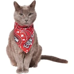 Frisco Paisley Printed Personalized Dog & Cat Bandana 18 Frisco Paisley Printed Personalized Dog & Cat Bandana -Cat Supplies 254247 PT7. AC SS1800 V1618508211