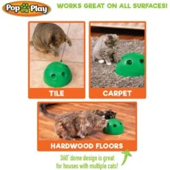 Allstar Innovations Pop N' Play Basic Cat Toy -Cat Supplies 257184 PT4. AC SS1800 V1602635189