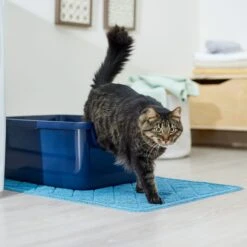 Frisco Quilted Cat Litter Mat 10 Frisco Quilted Cat Litter Mat -Cat Supplies 258210 PT3. AC SS1800 V1675279933