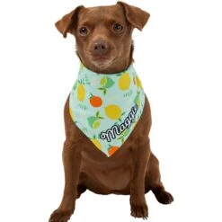 Frisco Citrus Personalized Dog & Cat Bandana -Cat Supplies 258758 PT6. AC SS1800 V1619560354