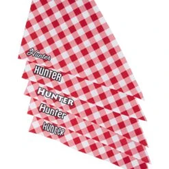 Frisco Gingham Personalized Dog & Cat Bandana -Cat Supplies 258775 PT4. AC SS1800 V1619558858