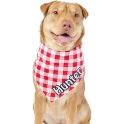 Frisco Gingham Personalized Dog & Cat Bandana -Cat Supplies 258775 PT6. AC SS1800 V1619558303