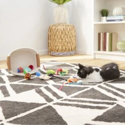 Goody Box Kitten Toys & Treats 14 Goody Box Kitten Toys & Treats -Cat Supplies 258991 PT4. AC SS1800 V1657656402