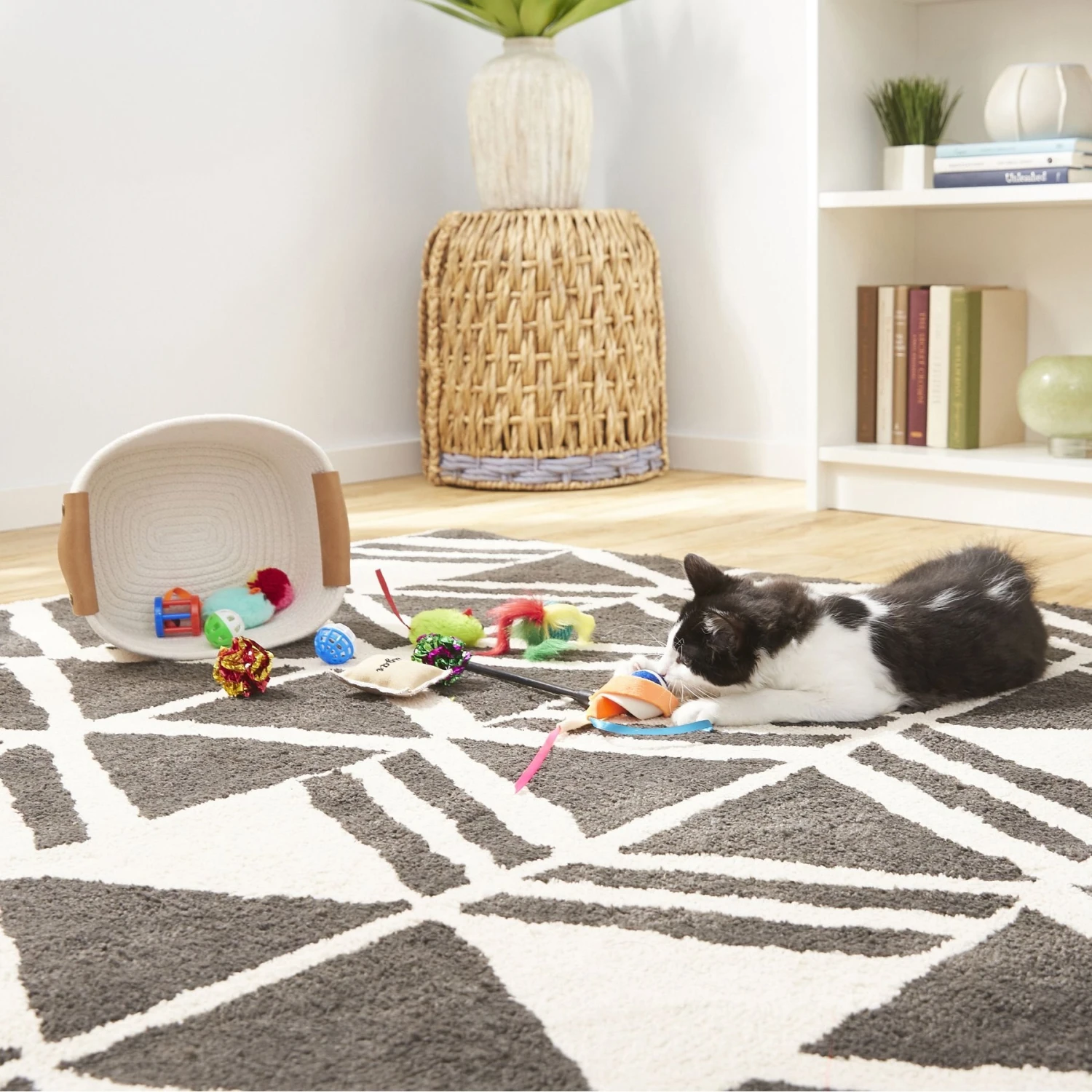 Goody Box Kitten Toys & Treats 7 Goody Box Kitten Toys & Treats - Image 5