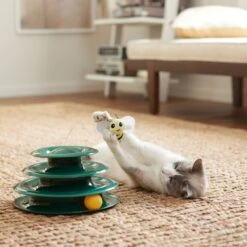 Goody Box Kitten Toys & Treats 15 Goody Box Kitten Toys & Treats -Cat Supplies 258991 PT5. AC SS1800 V1657656402